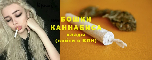 шишки Алексеевка