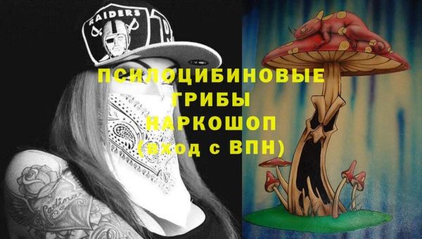 мдпв Осинники