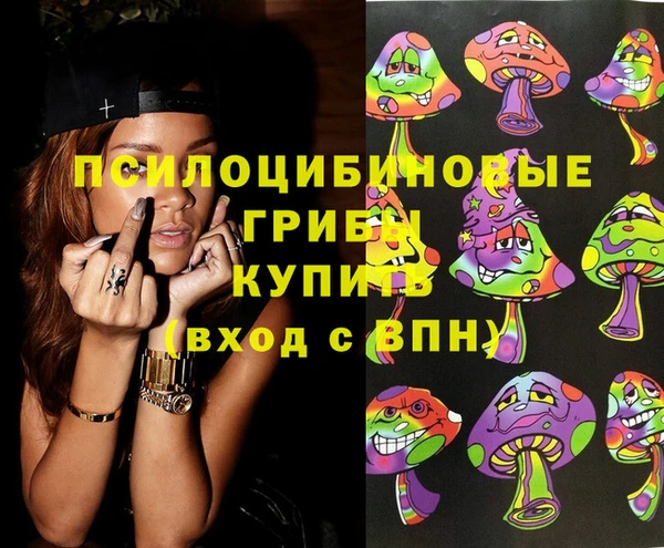 шишки Алексеевка